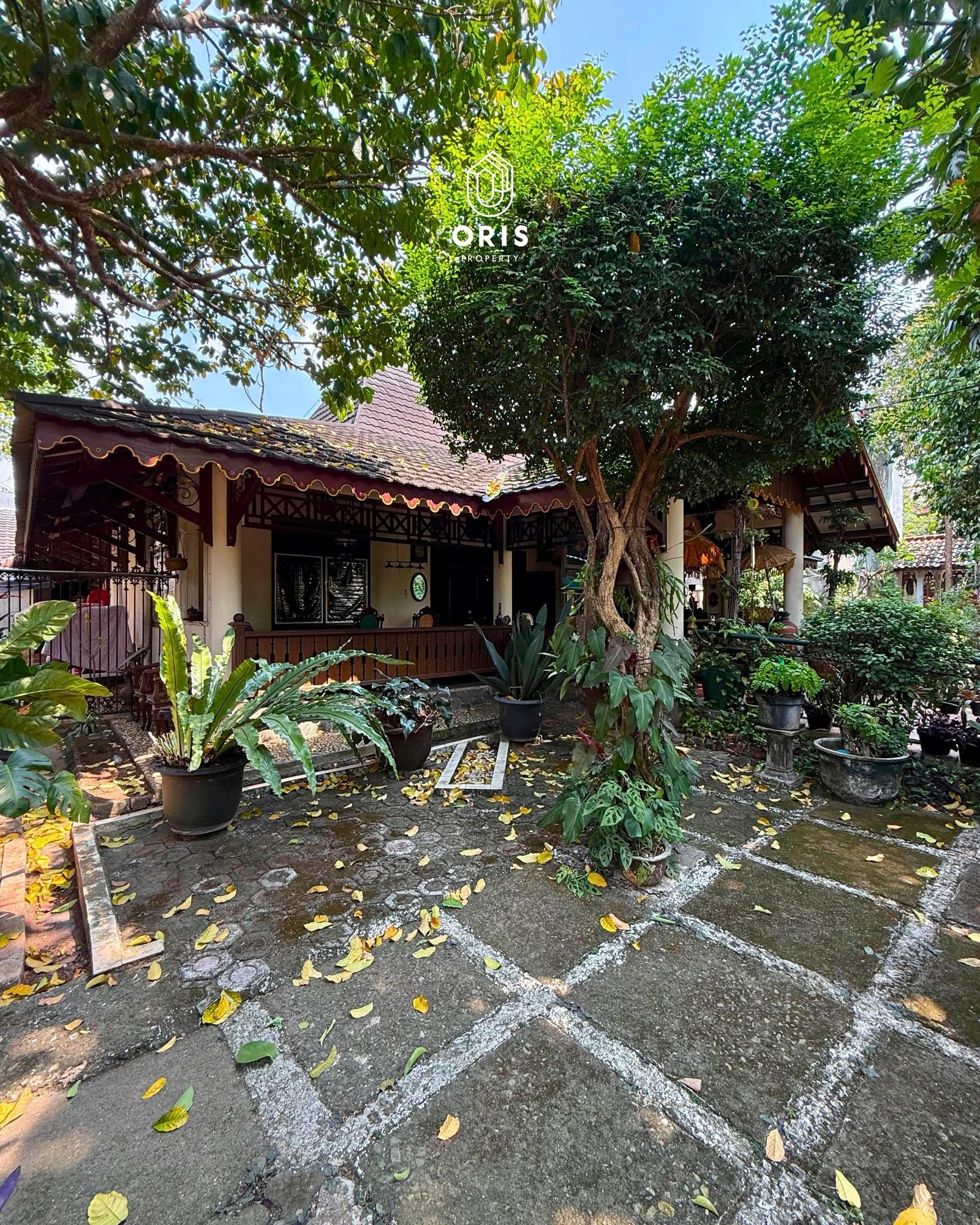 Hitung Tanah, Bonus Rumah Joglo Kayu Jati - foto 3